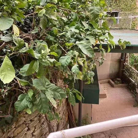 Giardino *
